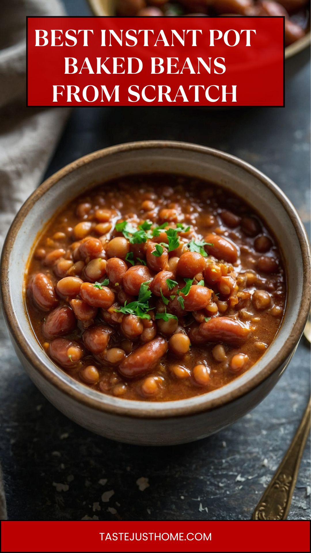 best instant pot baked beans from scratch