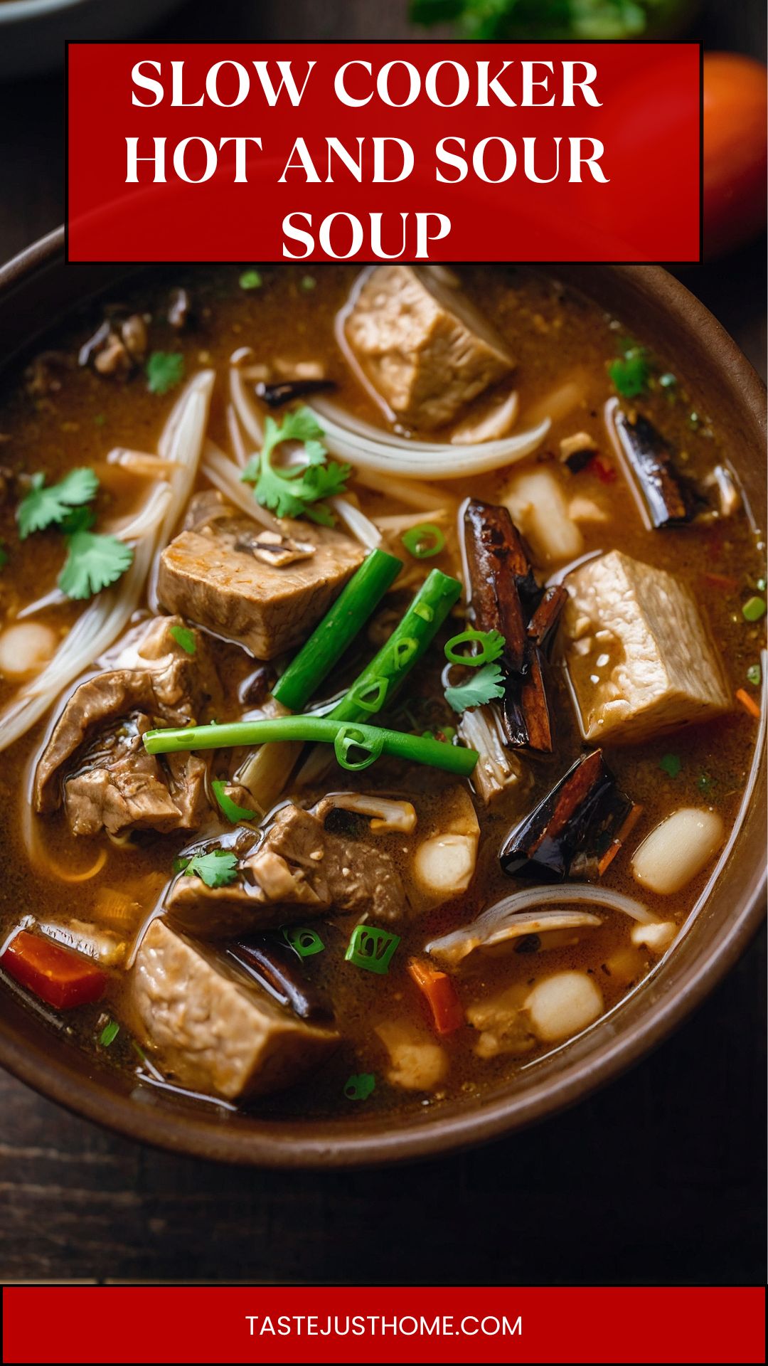 slow cooker hot and sour soup
