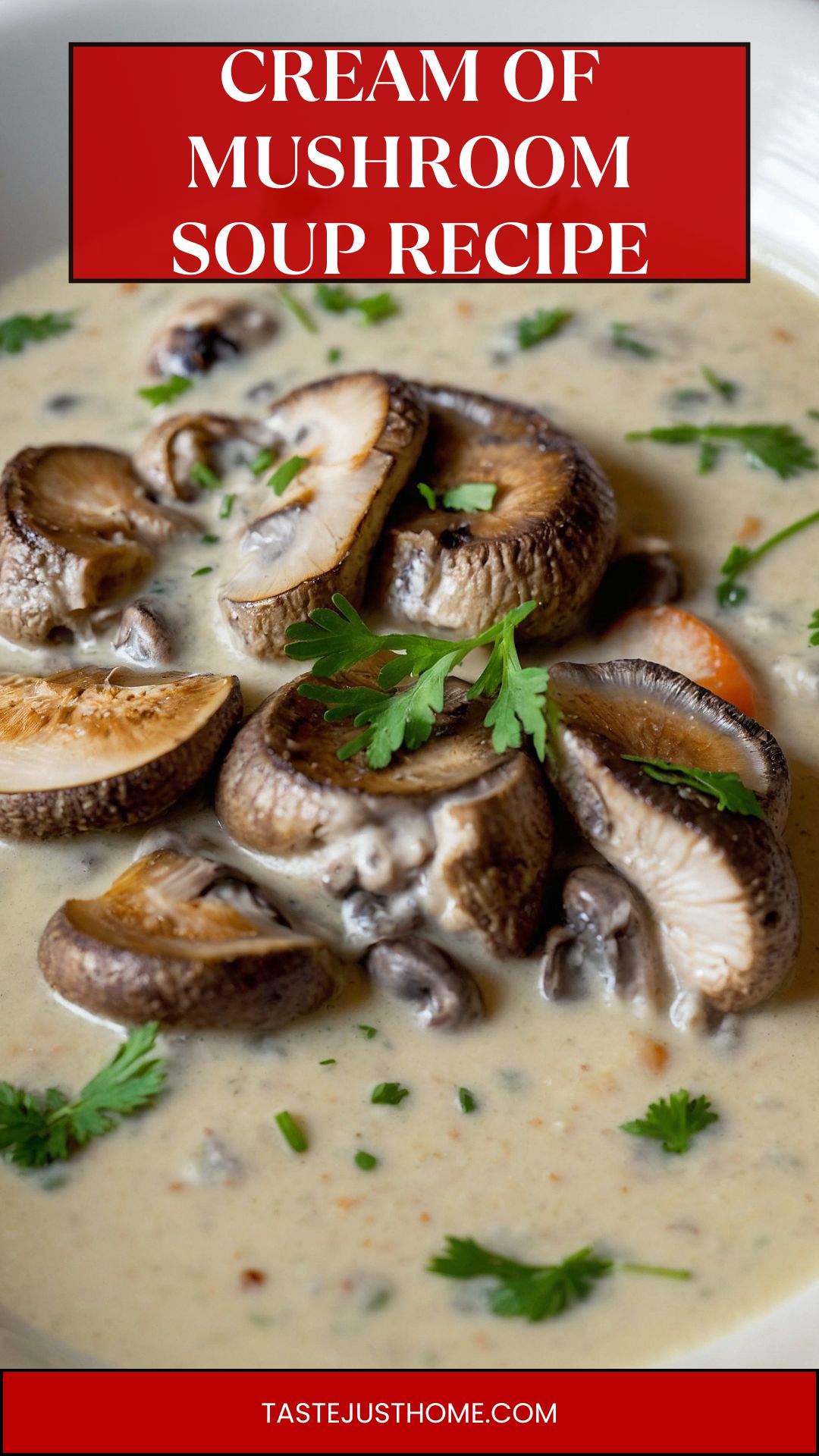 cream of mushroom soup recipe