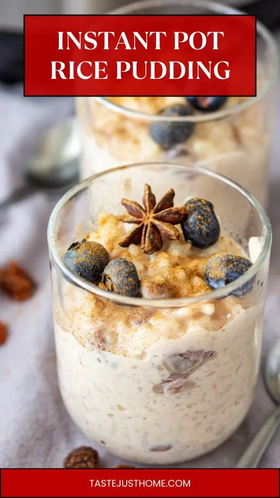 instant pot rice pudding instant pot rice pudding