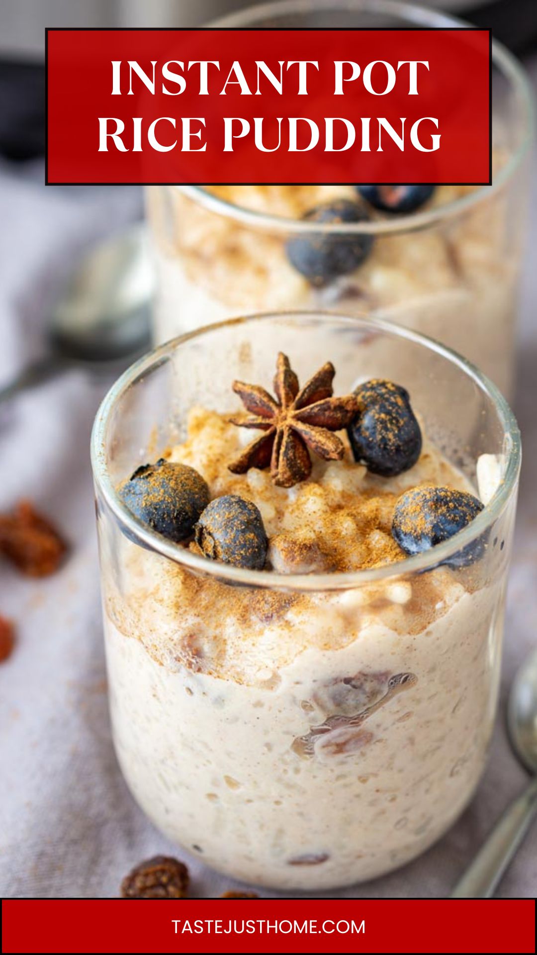 instant pot rice pudding